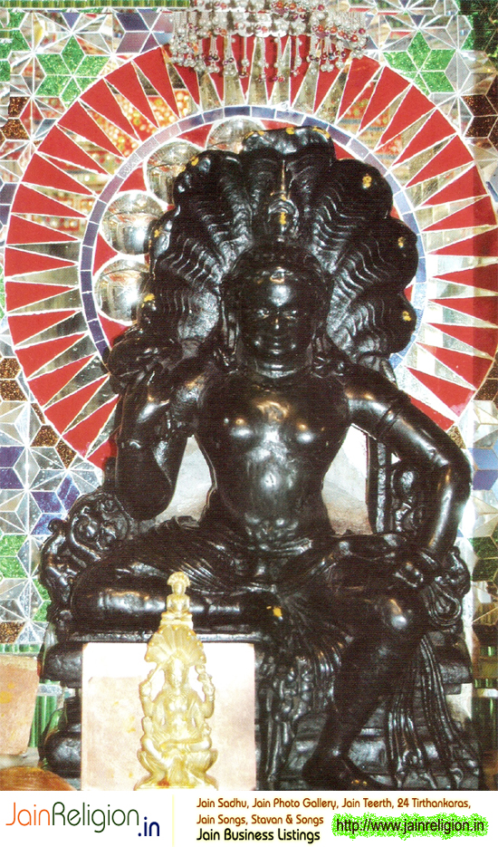 Shree Nagfani Parshwanath Digambar Jain Atishay Kshetra, Bichiwada, Rajasthan